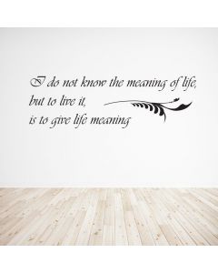 Meaning of Life
